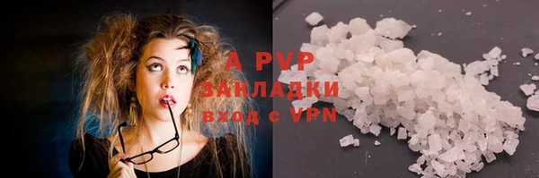 стафф Белокуриха